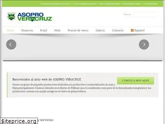 asoproveracruz.com