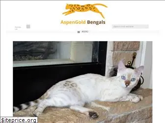 aspengoldbengals.com