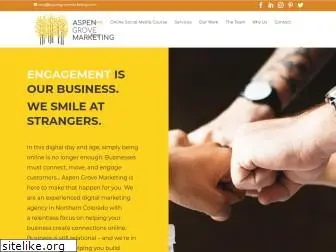 aspengrovemarketing.com