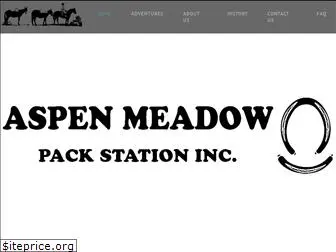 aspenmeadowpackstation.com