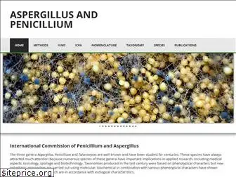 aspergilluspenicillium.org