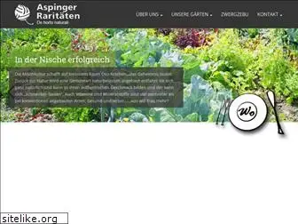 aspinger.com