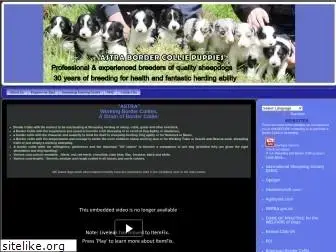 astrasheepdogcentre.com