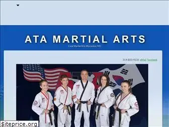 ata-kicks.com