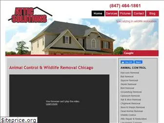 attic-solutions.com