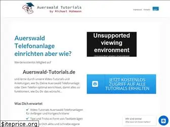 auerswald-tutorials.de