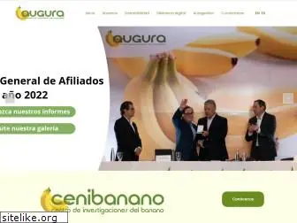 augura.com.co