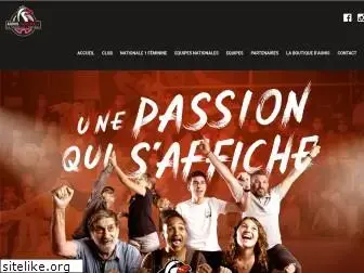 aunis-handball.fr
