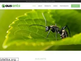 ausants.net