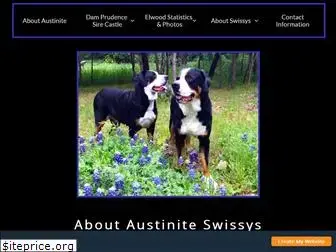 austiniteswissys.com