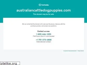 australiancattledogpuppies.com