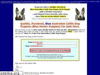 australiancattledogs.com.au