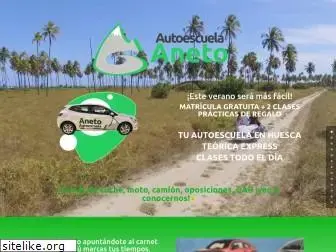 autoescuelaaneto.com
