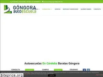 autoescuelagongora.com