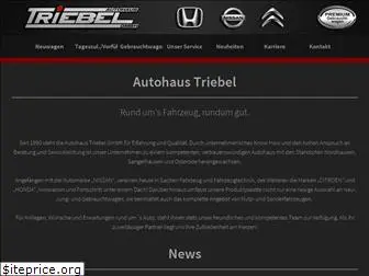 autohaus-triebel.de
