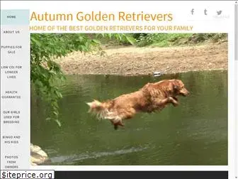 autumngoldenretrievers.com