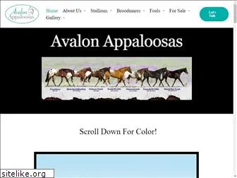 avalonappaloosas.com