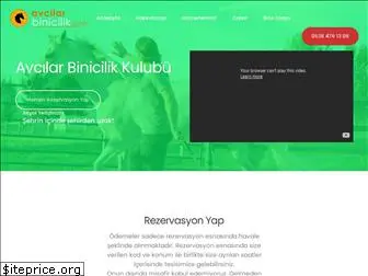 avcilarbinicilik.com