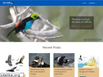 avianreport.com