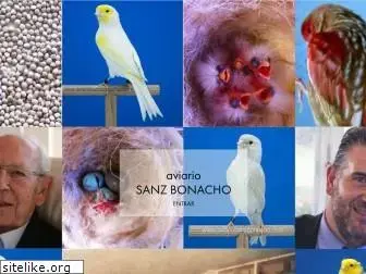 aviariosanzbonacho.com