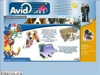 avid.com.mx