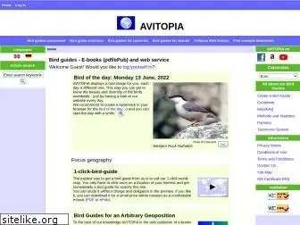 avitopia.com