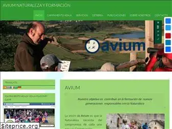 avium.es