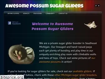 awesomepossumgliders.com