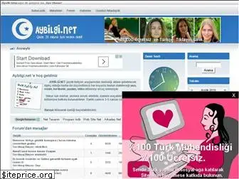 aybilgi.net thumbnail