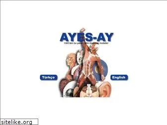 ayes-ay.com