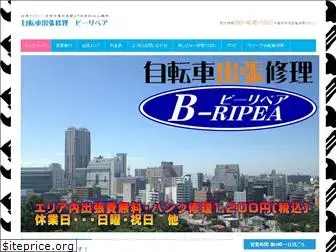 b-ripea.com