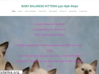 babybalinesekittens.com