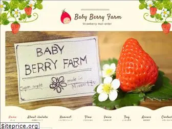 babyberryfarm.com