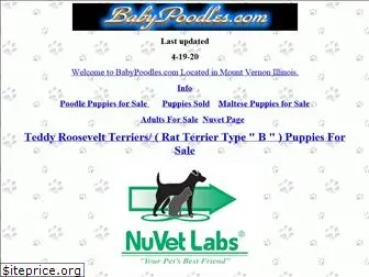 babypoodles.com