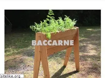 baccarne.be