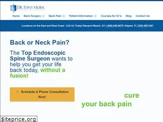 backpainreliefinstitute.com