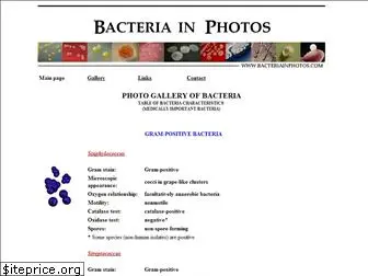 bacteriainphotos.com