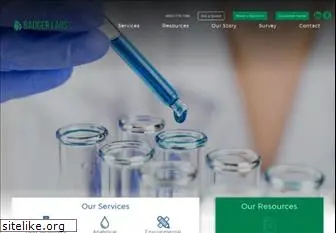 badgerlabs.com