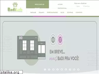 badilab.com.br