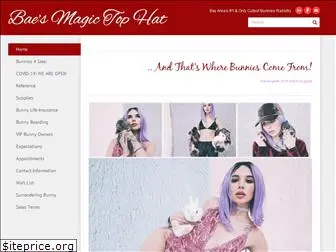 baesmagictophat.com