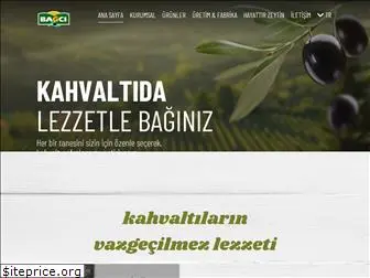 bagcizeytin.com