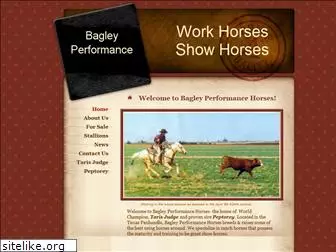 bagleyperformancehorses.com