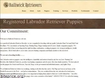 bailiwickretrievers.com