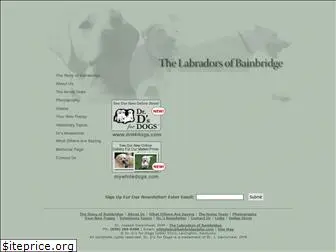 bainbridgelabs.com