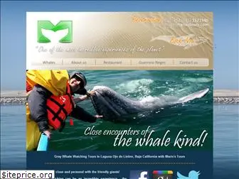 bajagraywhales.com