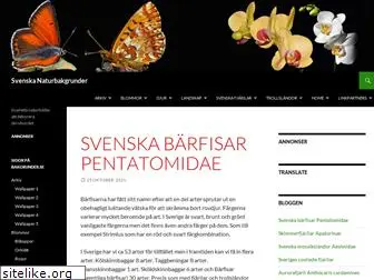 bakgrunder.se