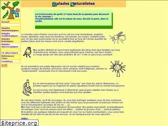 balades.naturalistes.free.fr