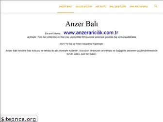 balanzer.com