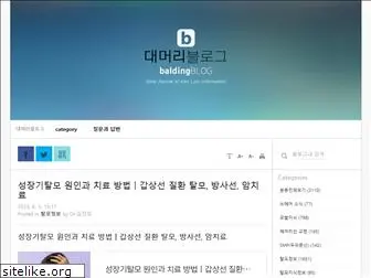 baldingblog.co.kr