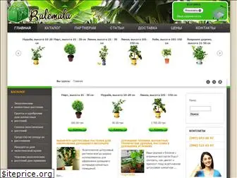 balemala.com